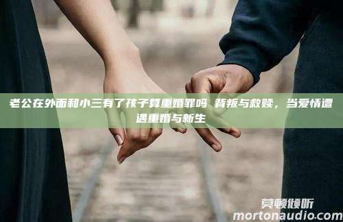 老公在外面和小三有了孩子算重婚罪吗 背叛与救赎，当爱情遭遇重婚与新生