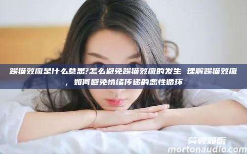 踢猫效应是什么意思?怎么避免踢猫效应的发生 理解踢猫效应，如何避免情绪传递的恶性循环