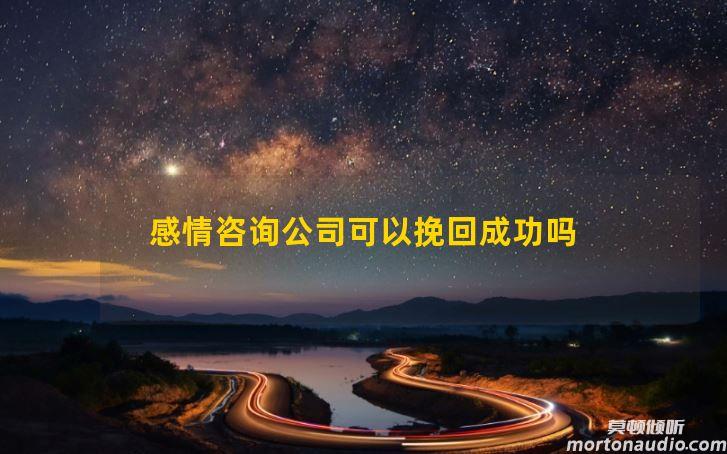 感情咨询公司可以挽回成功吗