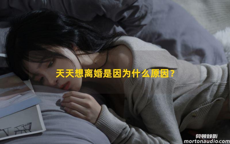 天天想离婚是因为什么原因？